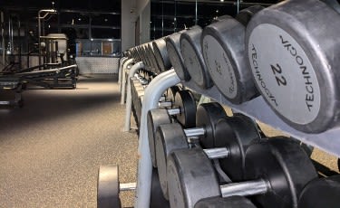 Olympia free weights