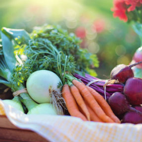 Agriculture basket beets 287