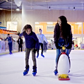 Ice skating membership