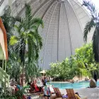 Palm Trees and a Pool under a Dome