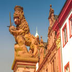 Statue of a Lion Outside the University of Heidelberg 