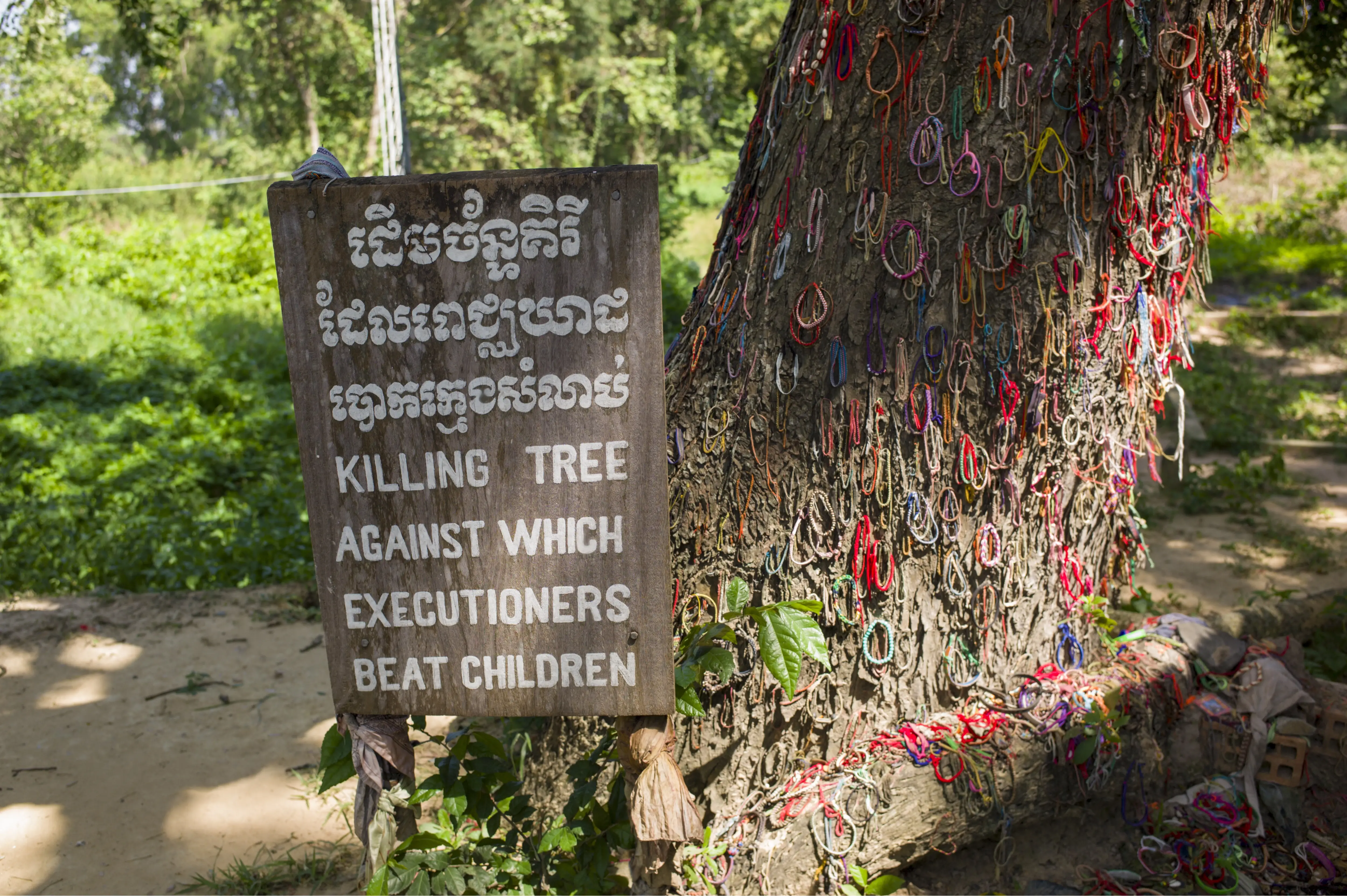 Tree with Colorful Bands on Tt in Killing Fields in Phnom Penh