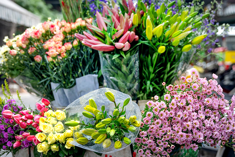 FLOWERS SITTING ON A BICYCLE IN A HANOI STREET
