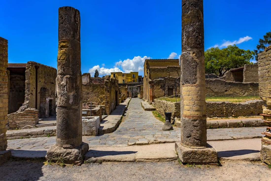 Guided Tour of Herculaneum 