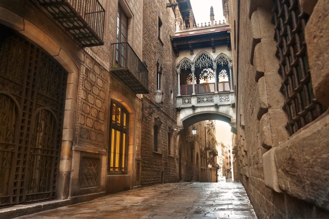 Tour of Gothic Quarter & Picasso Museum