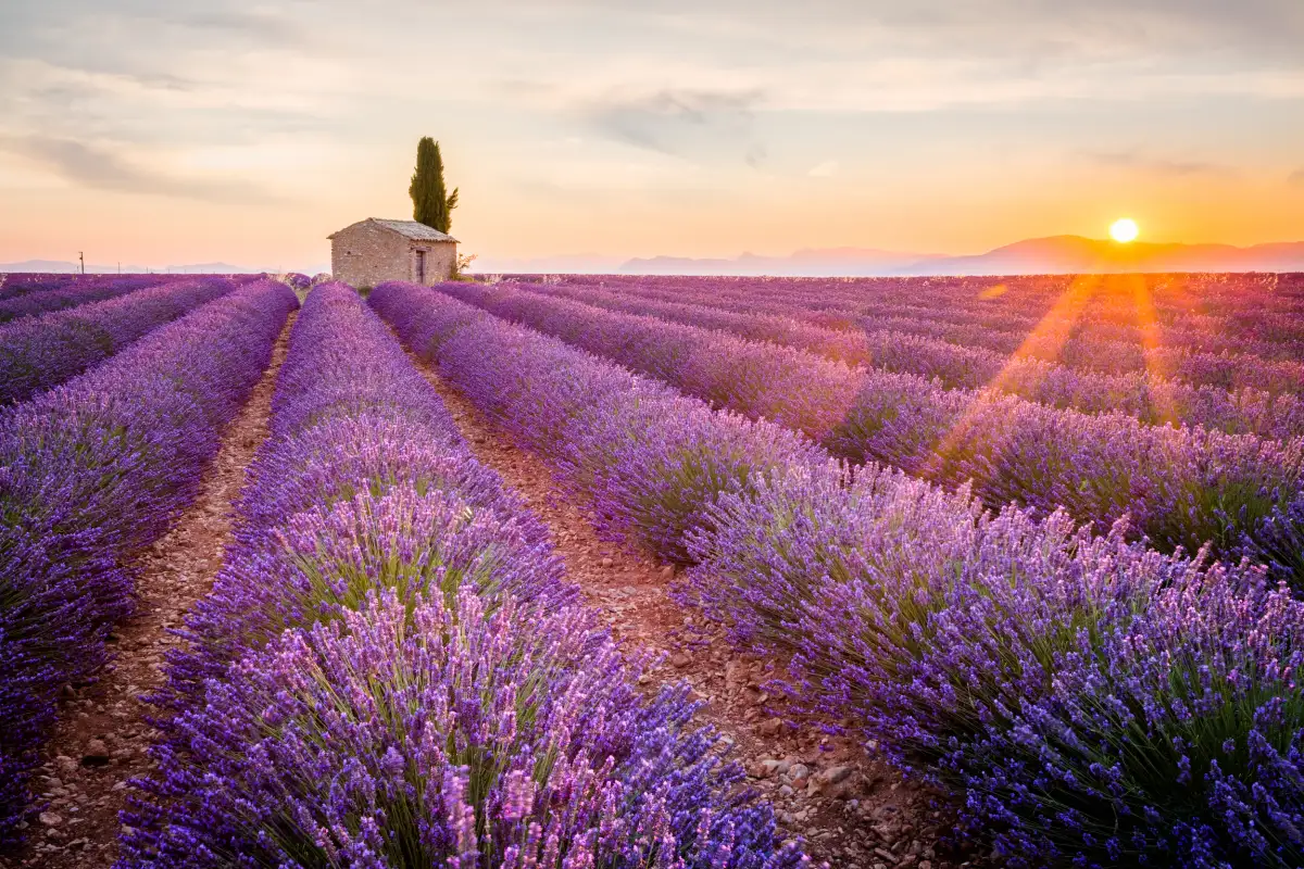 Aix en Provence
