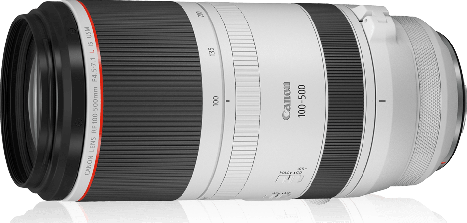 Weiß Canon RF 100-500mm f/4.5-7.1L IS USM Objektiv.2