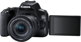 Canon EOS 250D + EF-S 18-55mm f/4.0-5.6 IS STM, Camera Kit