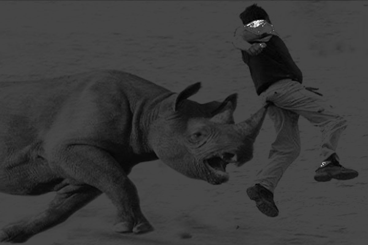 गैँडाको आक्रमणबाट मृत्यु