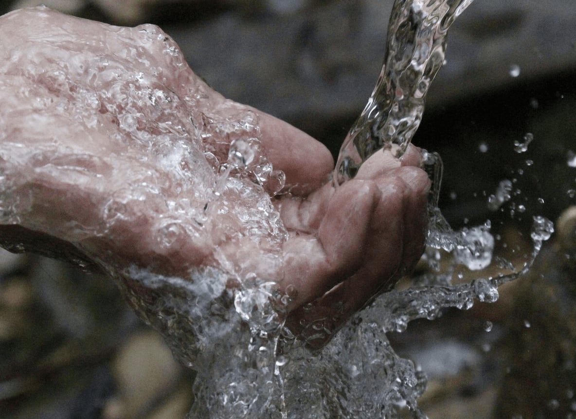 Boire de l'eau pour le microbiote intestinal