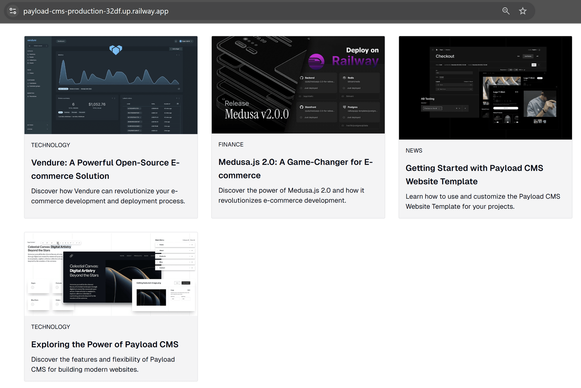 Website view, these are demo post from seed data