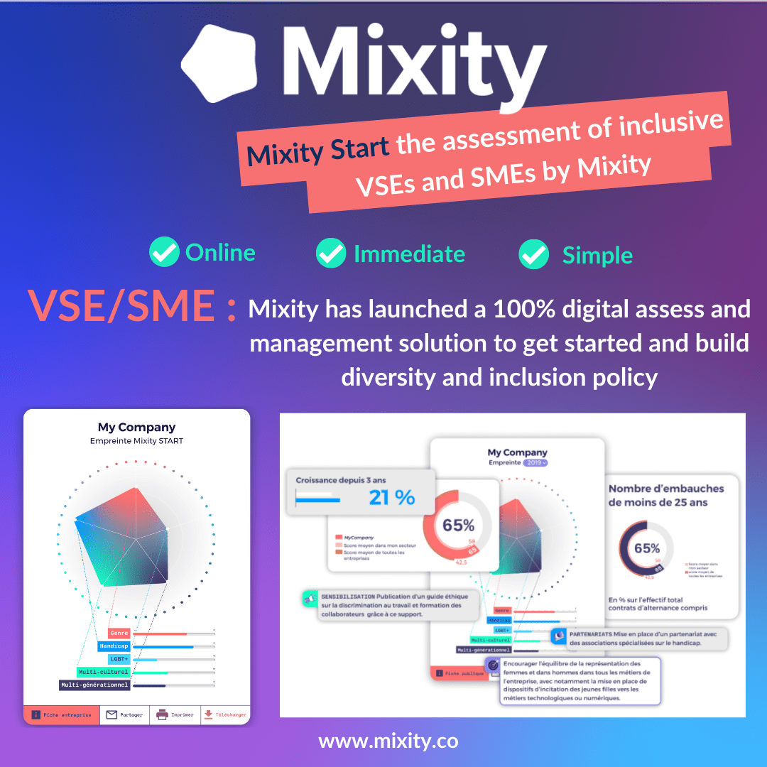 Diversity & Inclusion Assessment : Mixity reveals "Mixity Start" for VSB/SME