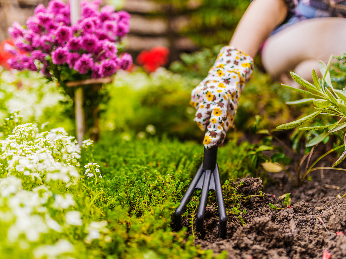 Gartengestaltung: Ideen, Tipps & Beispiele