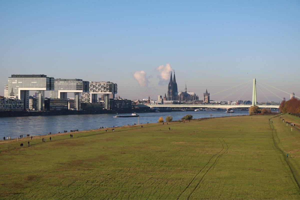 Von den Poller Wiesen aus hast du einen fantastischen Blick auf die Kranhäuser des Rheinauhafens