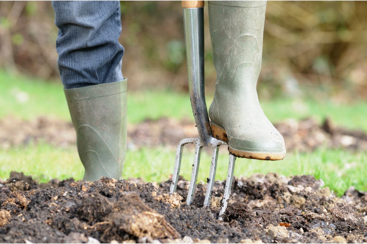 Vor der großen Ernte steht erst einmal harte Arbeit. Zum Anlegen des Gemüsebeets muss der Gartenboden mindesten 20 cm tief umgegraben werden. Davor musst du auch noch das Gras abstechen.