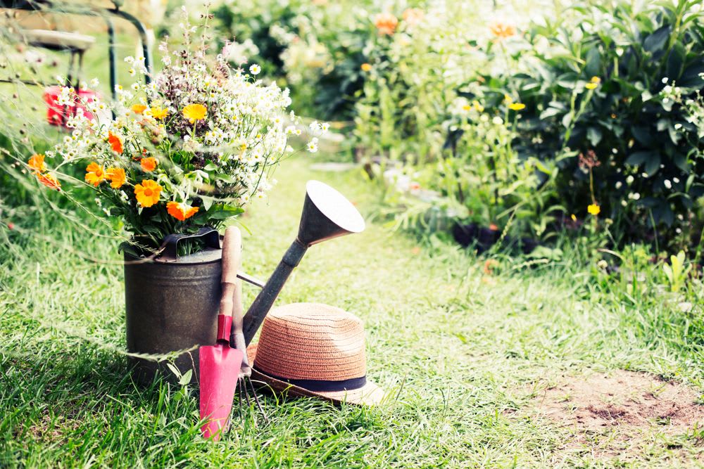 Garten gestalten mit wenig Geld: Praktische Tipps