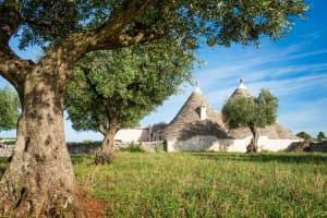 Alberobello