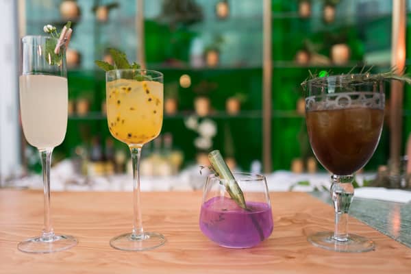 Celebrity Edge,Cruise