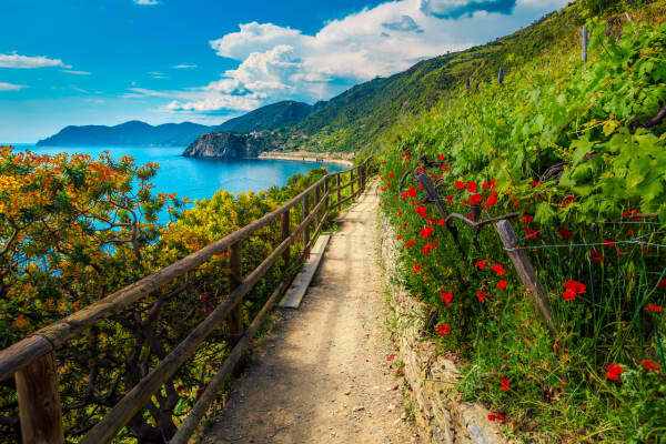 Cinque Terre & Italian Riviera Experience