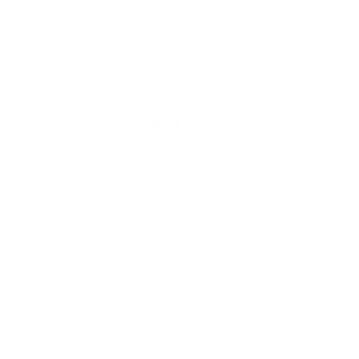 User Friendly Interface