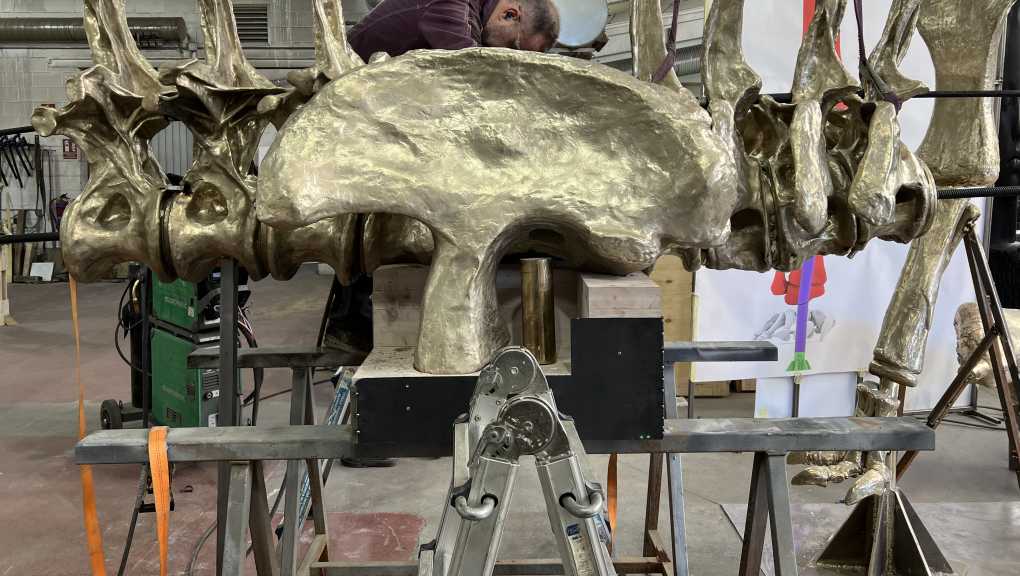 The dinosaur structure during construction. Copyright: Structure Workshop, 2025.