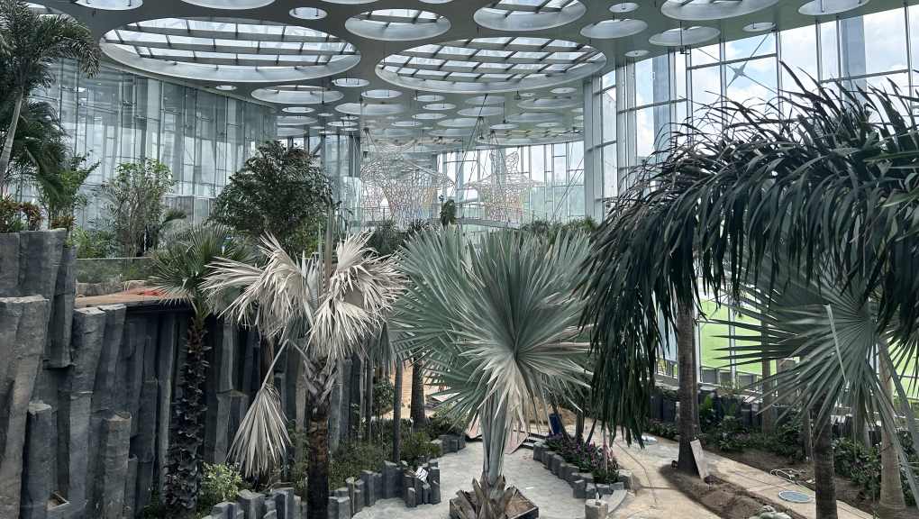 Shanghai Greenhouse project, inside. Copyright: Arcplus Institute of Shanghai Architectural Design & Research Co., Ltd, 2025.