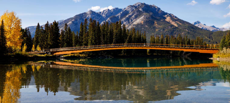 Reflections: 2023 Supreme Award winner - Nancy Pauw footbridge