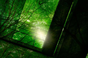 Engineering insight into embodied carbon