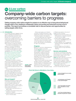 Company-wide carbon targets: overcoming barriers to progress