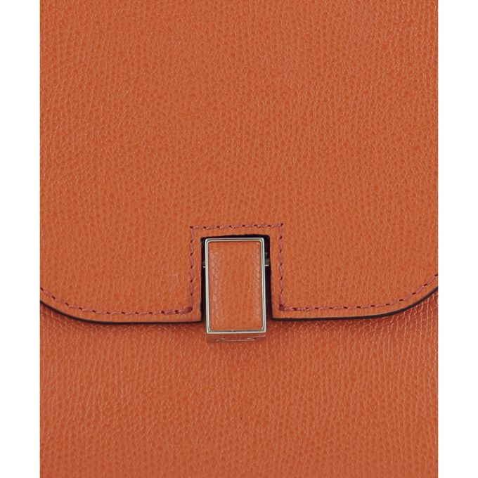 Orange Leather Pochette展示图