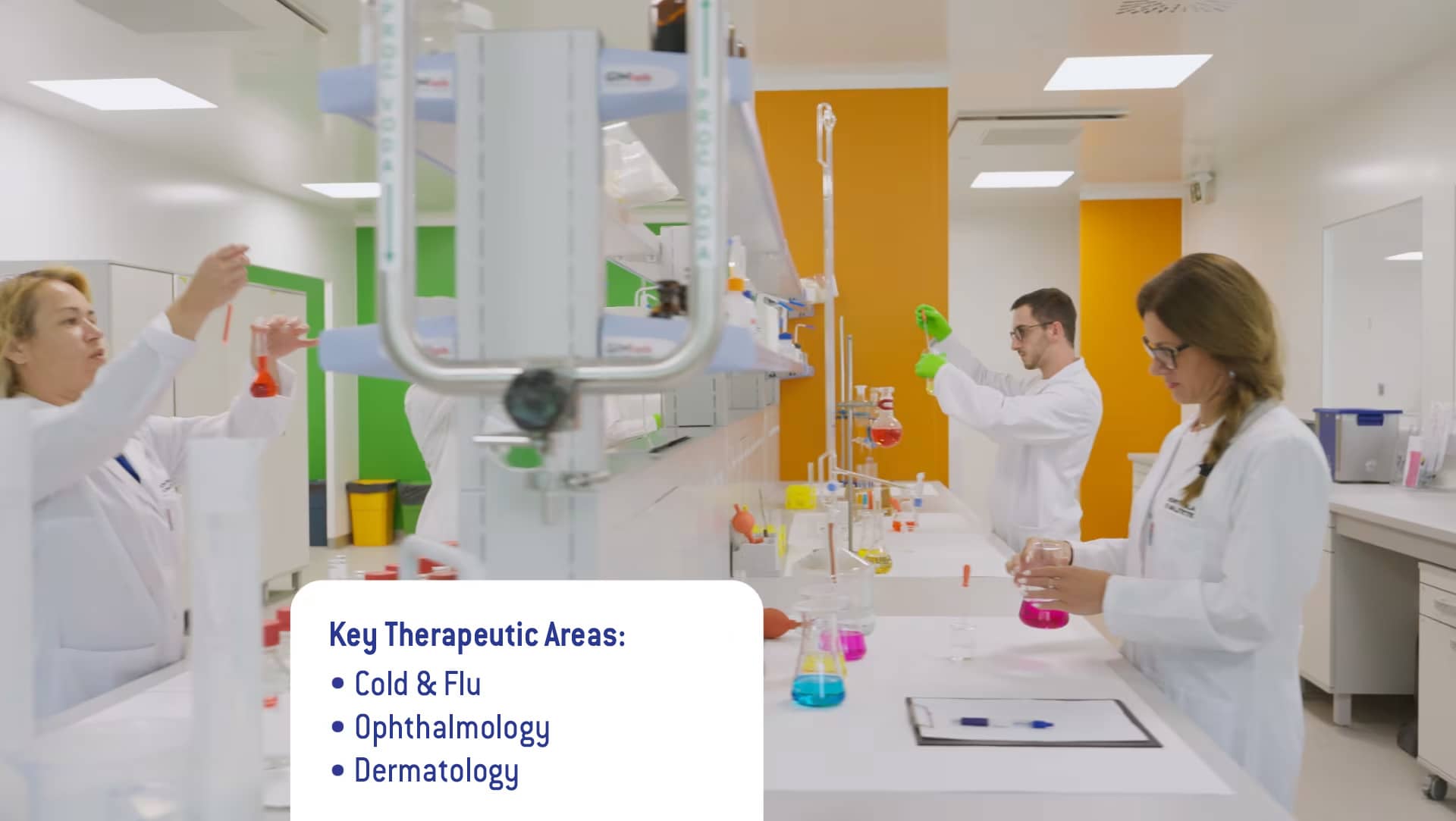 Homepage // Business focus