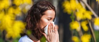 Alergijski rinokonjunktivitis