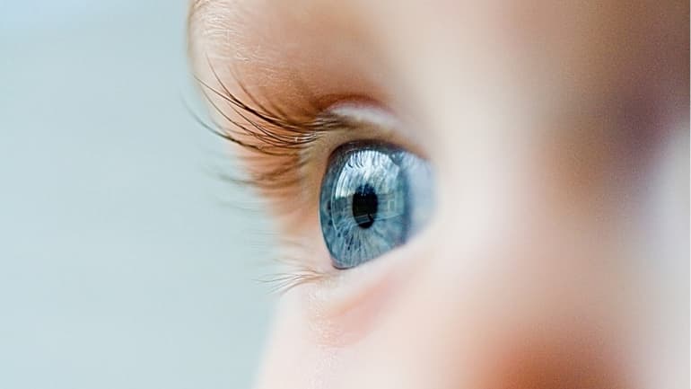 Razvoj vida pri dojenčkih v prvih mesecih življenja