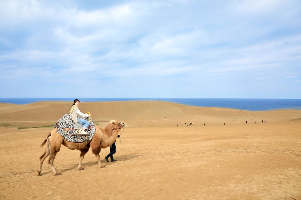 Crafts, Canals, and Charming Cities: Destination Ideas in West Japan