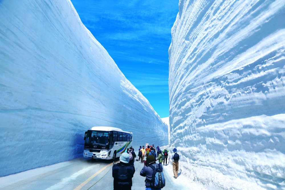 Tateyama “Snow Walls” | Japan's Local Treasures | Travel Japan （JNTO）