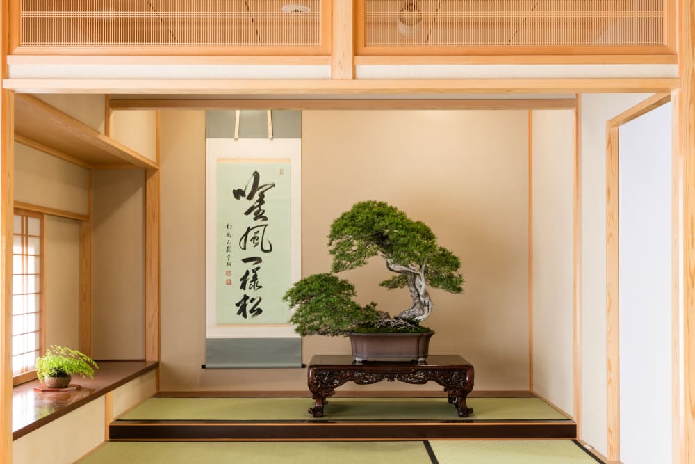 大宮盆栽美術館 | Experiences in Japan | Travel Japan | JNTO