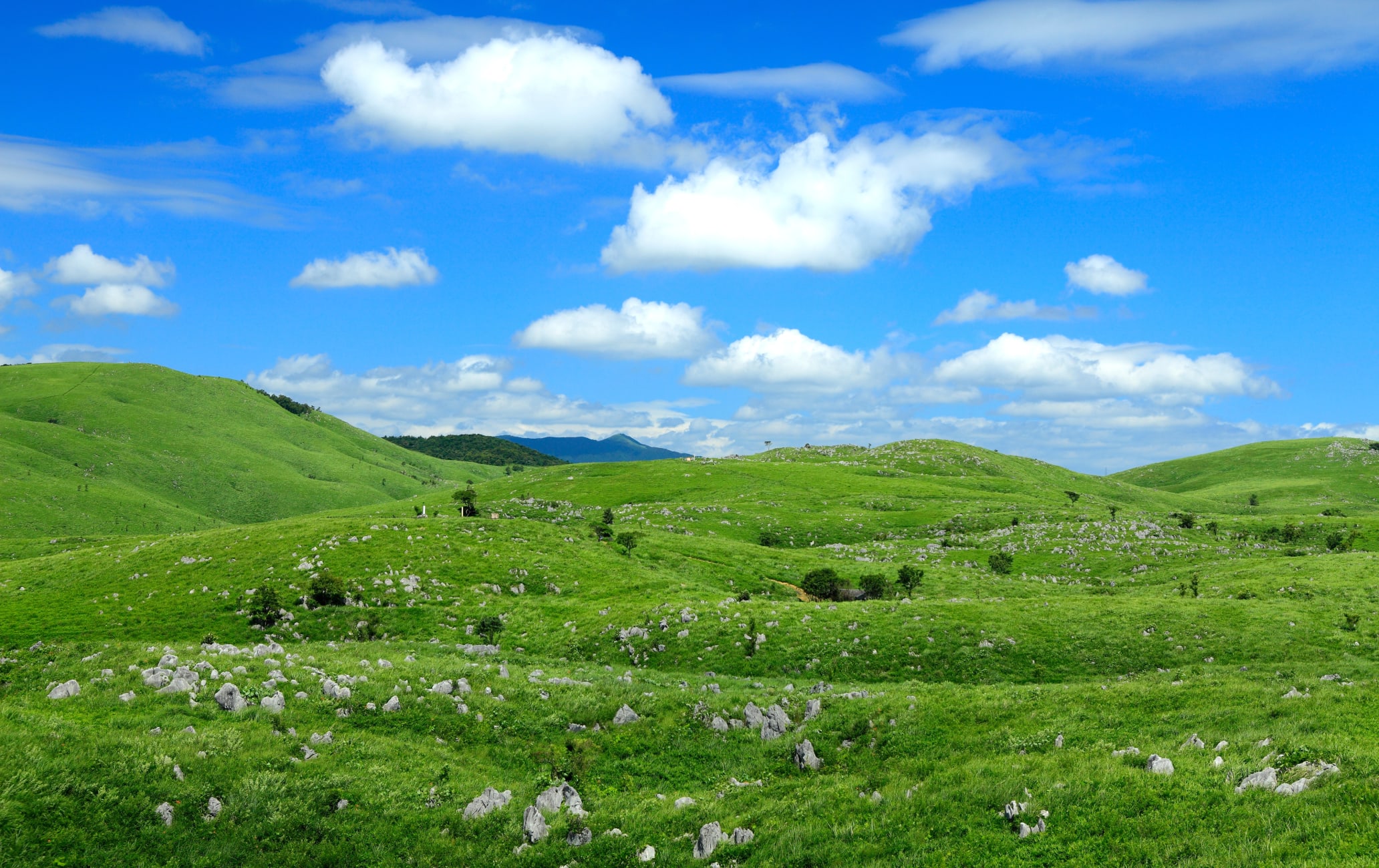 Akiyoshi-dai Plateau Area