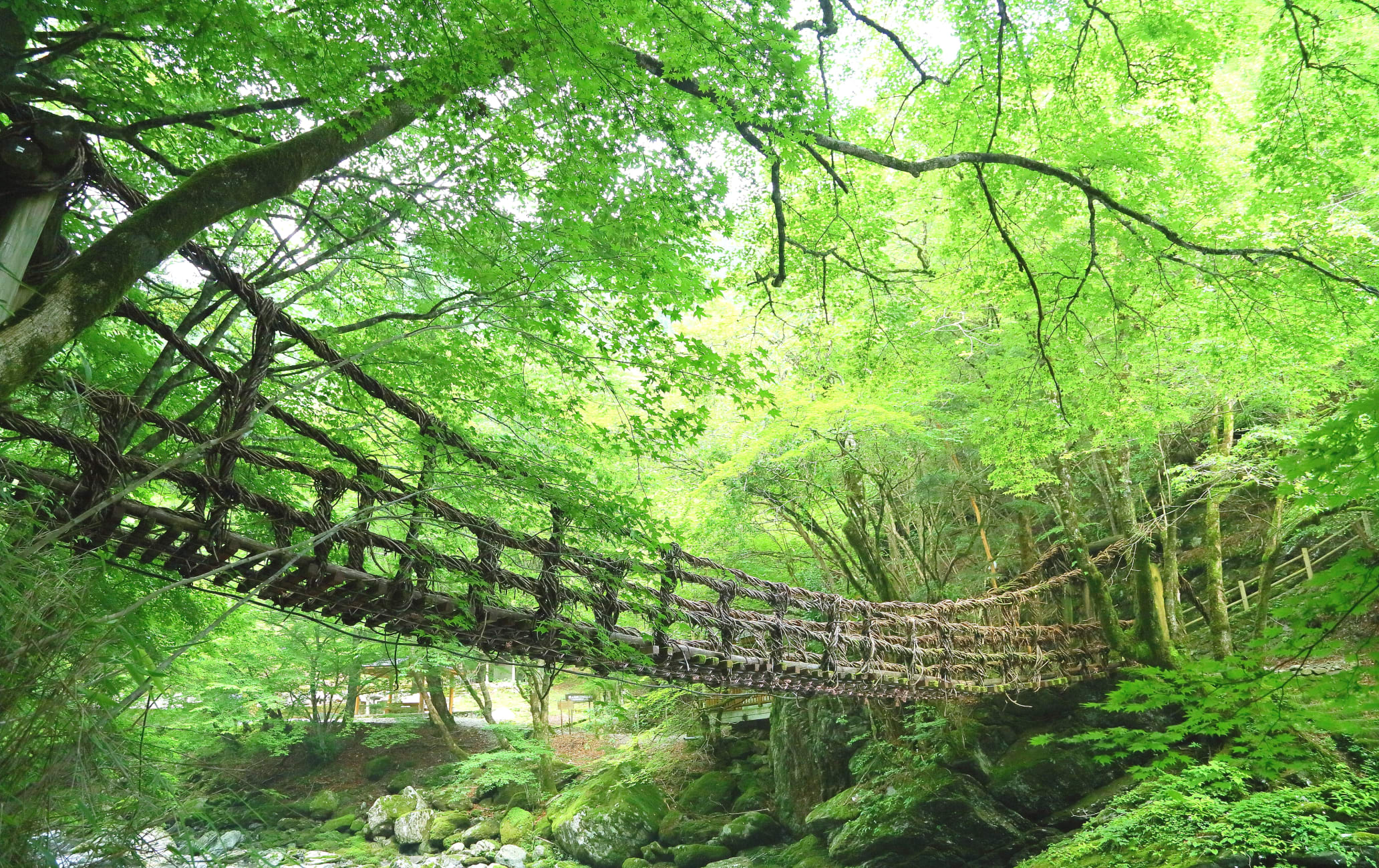 Kazurabashi Bridge                              かずら橋