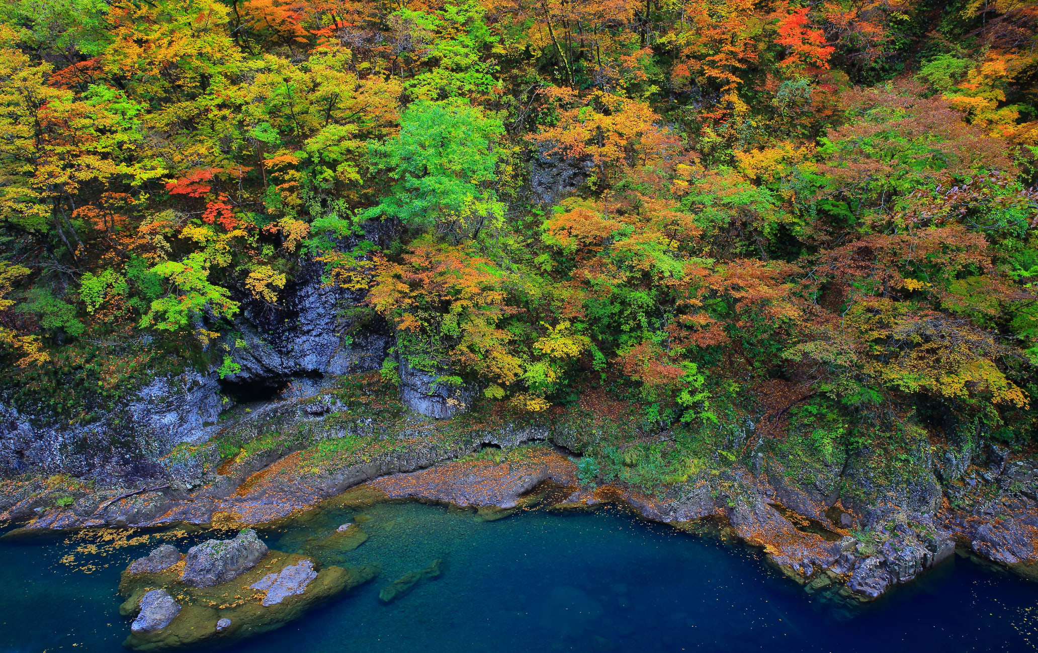 Dakigaeri Gorge-AUT