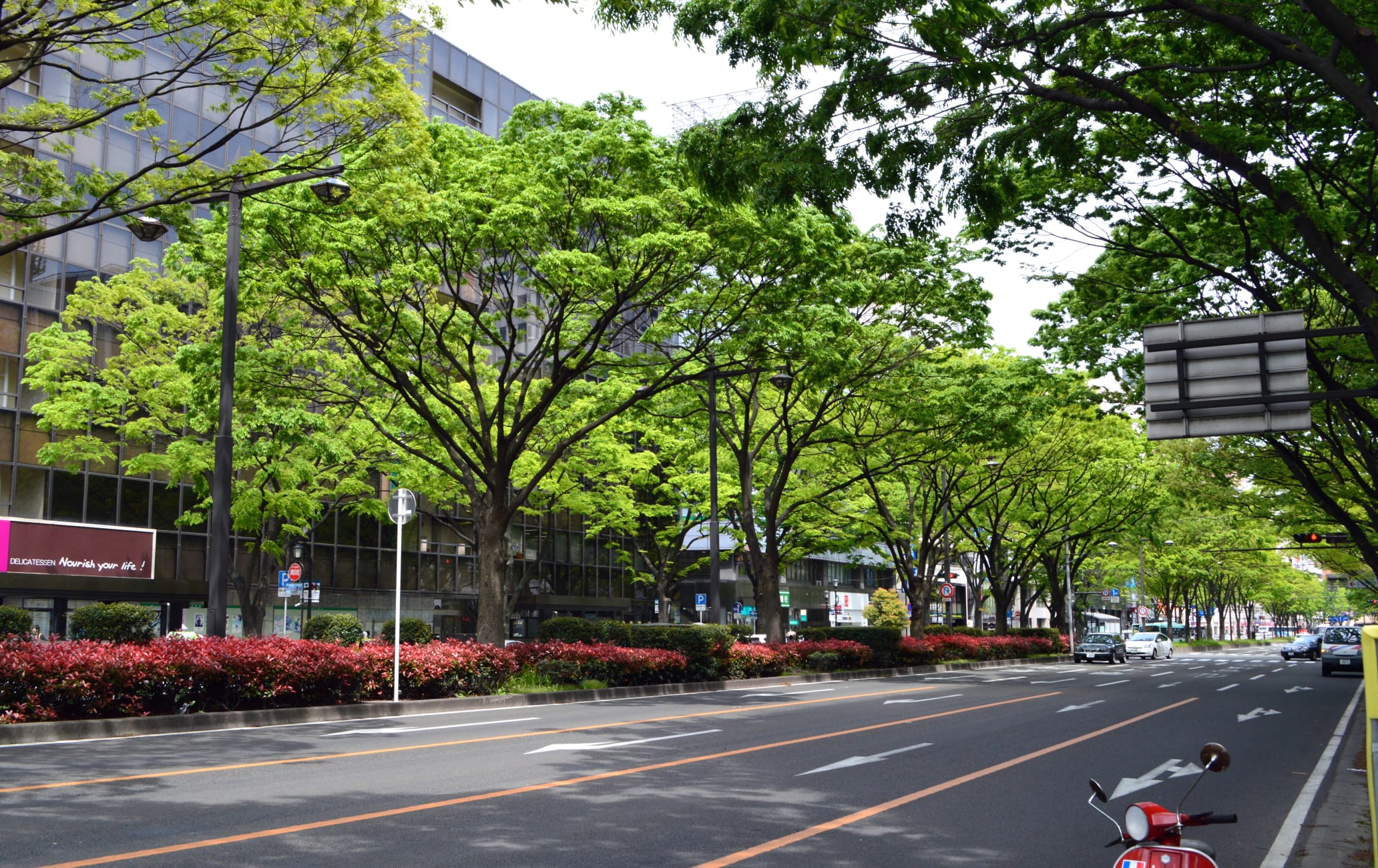 Aoba-dori Street