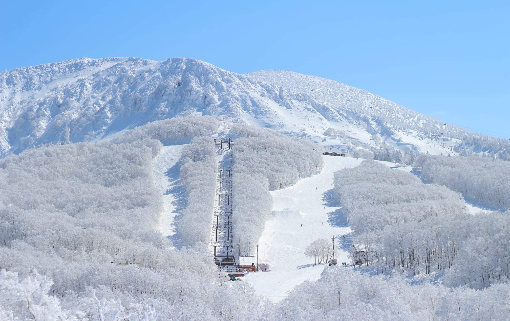 Mt. Zao Skiing Miyagi Attractions Travel Japan JNTO