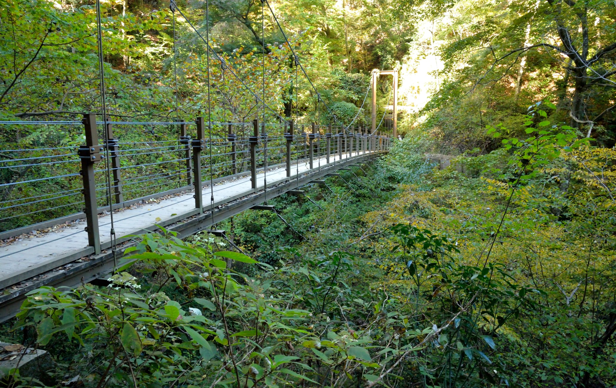 Mt Takao-san Area