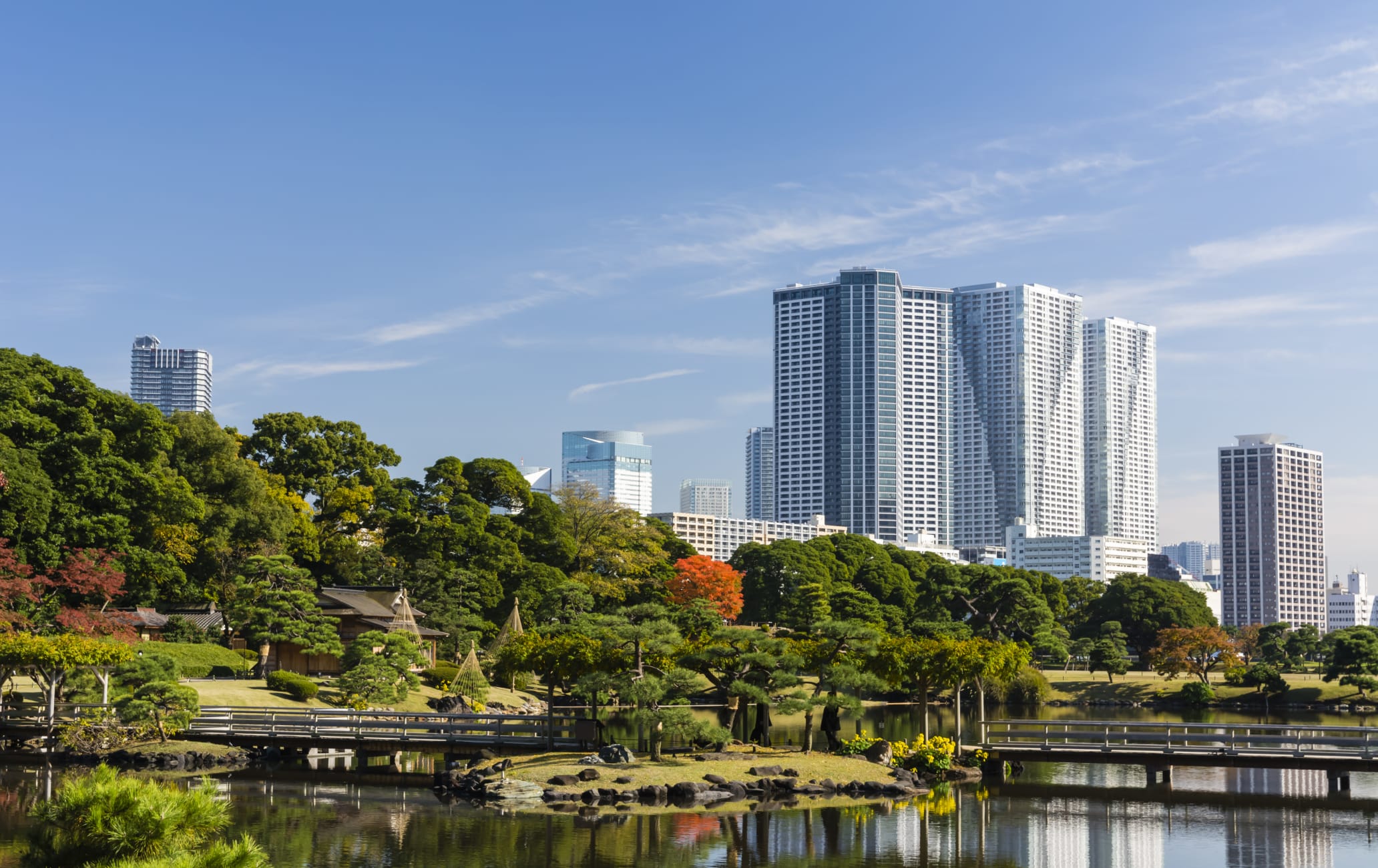 hama-rikyu onshi teien garden