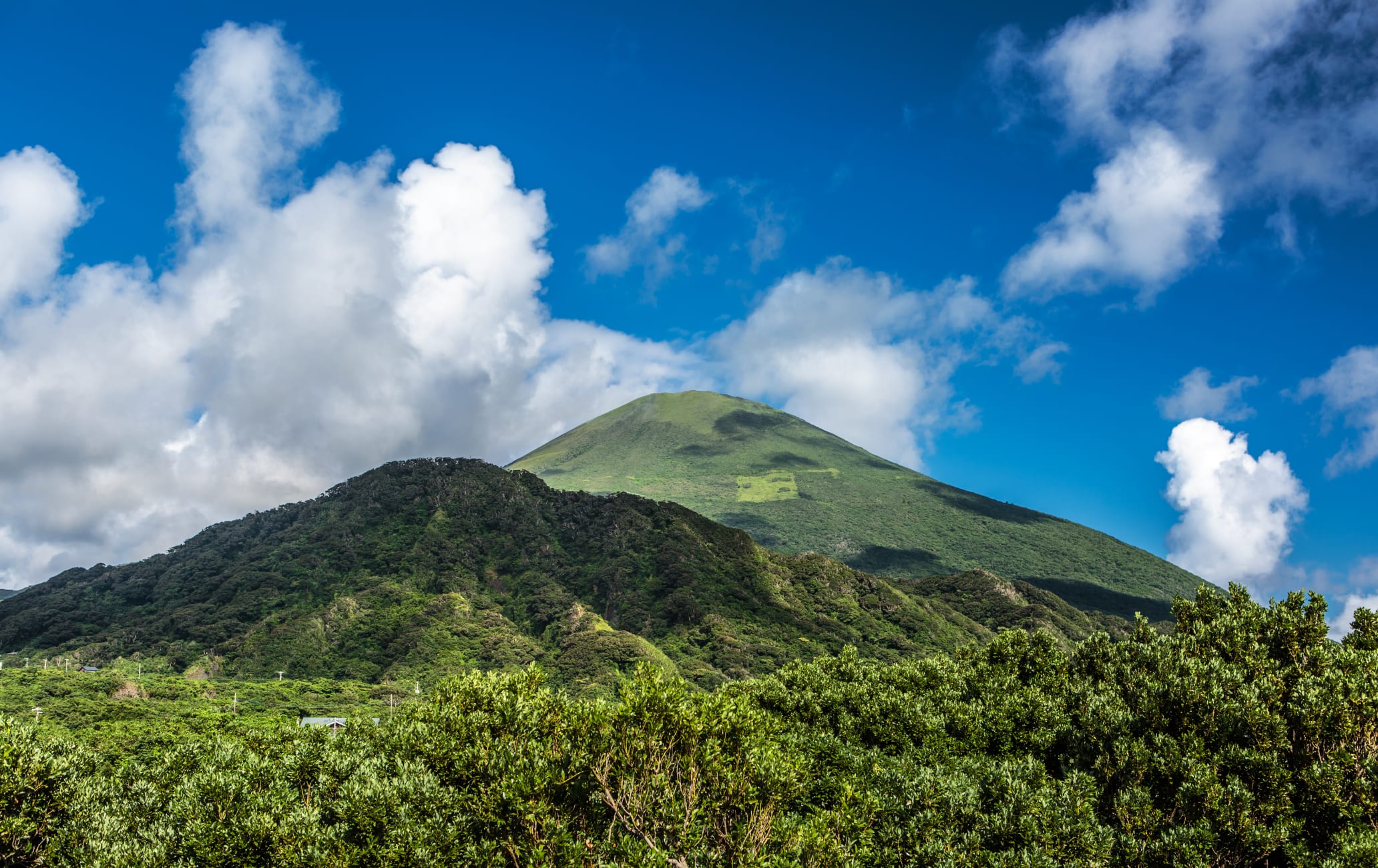 Hachijo-jima island