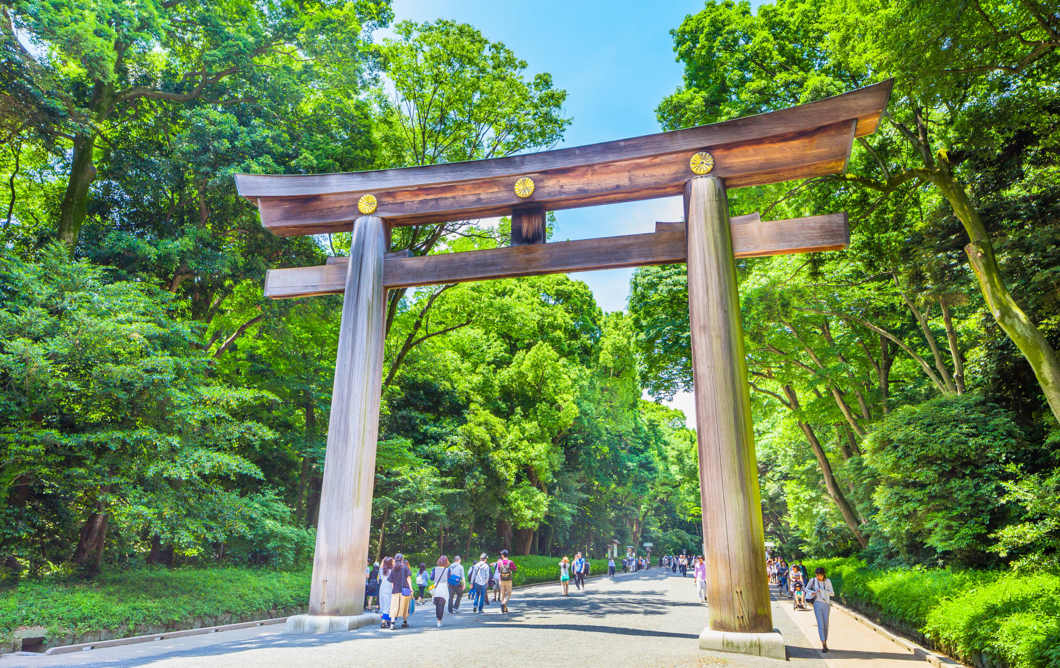 Meiji-jingu Shrine