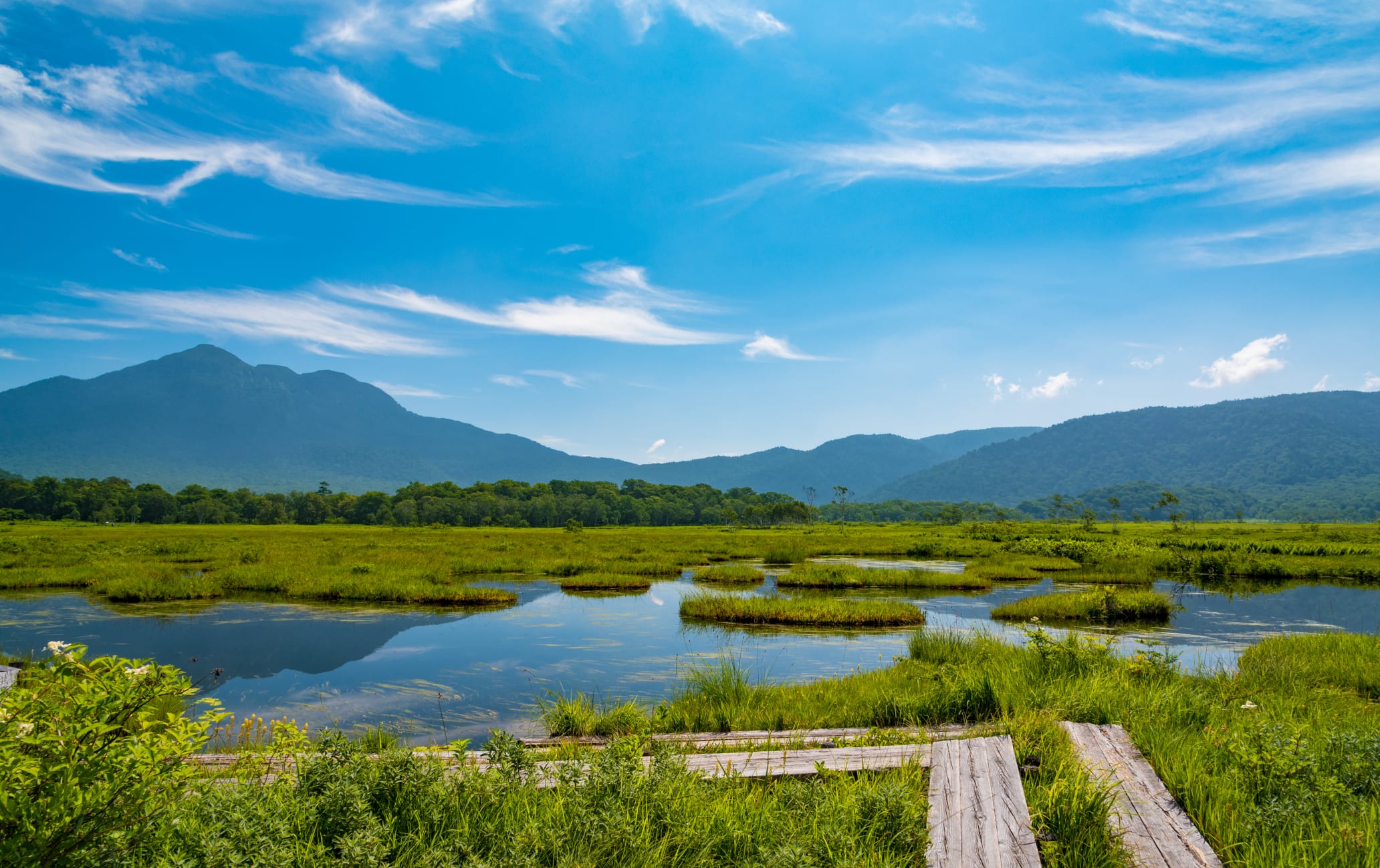 oze national park