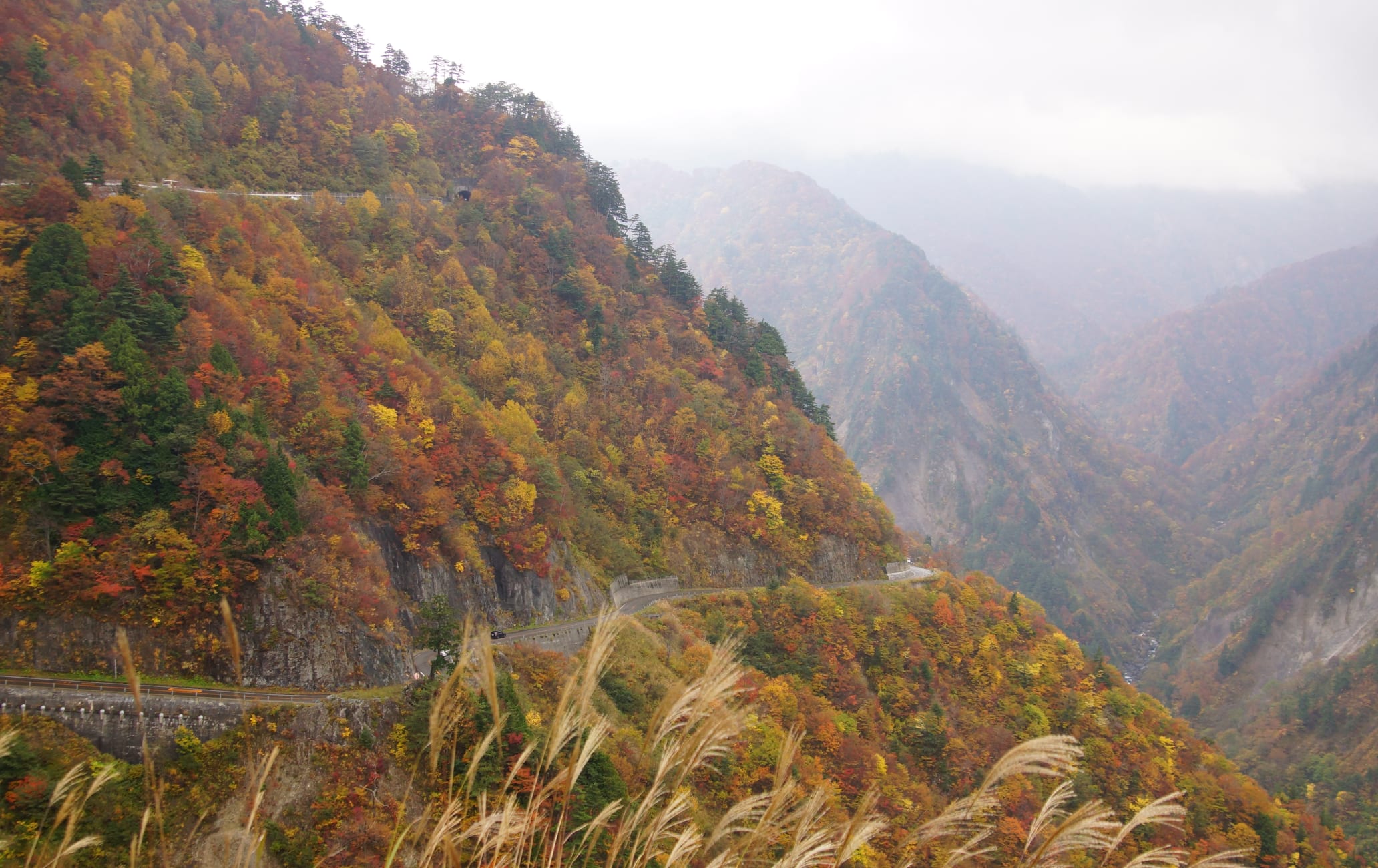 Hakusan Shirakawa-go White Road