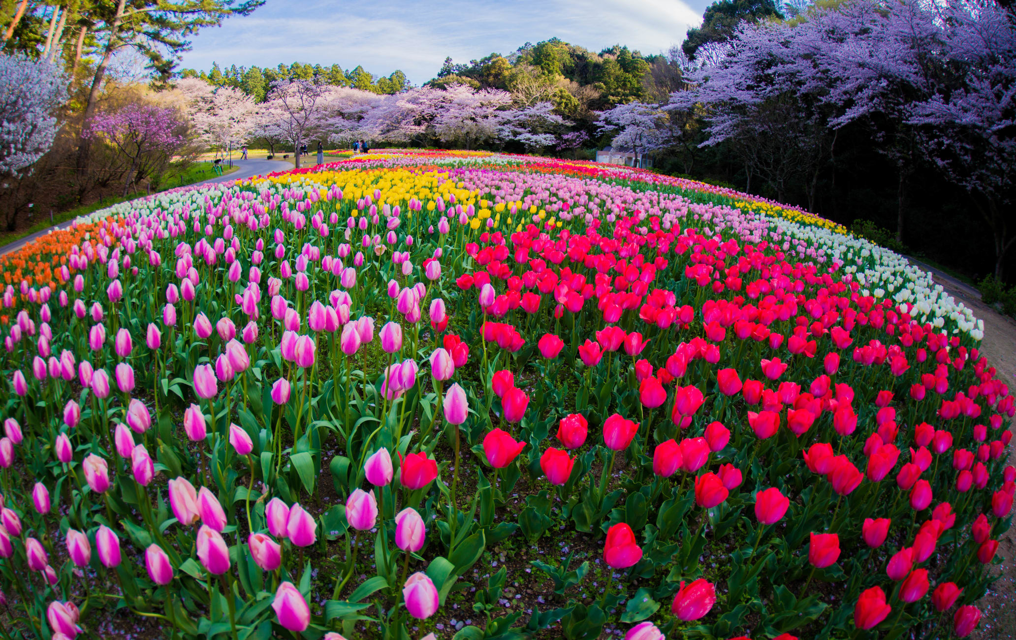 tourist spot in hamamatsu japan