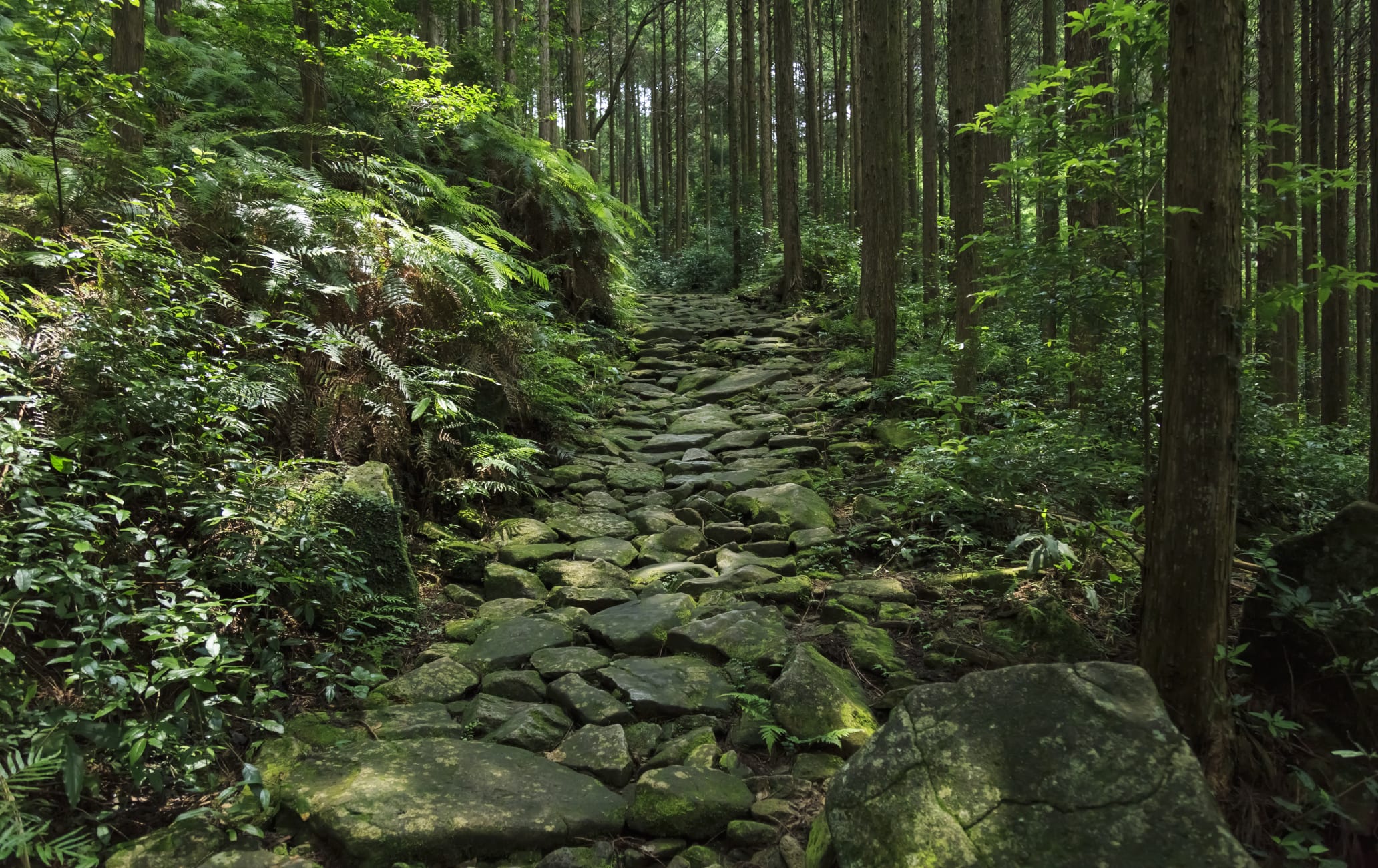 Magose-toge Pass of Kumano Kodo