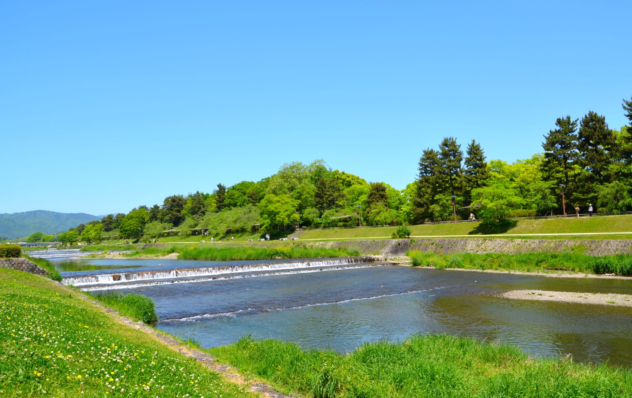 takagamine & murasakino area